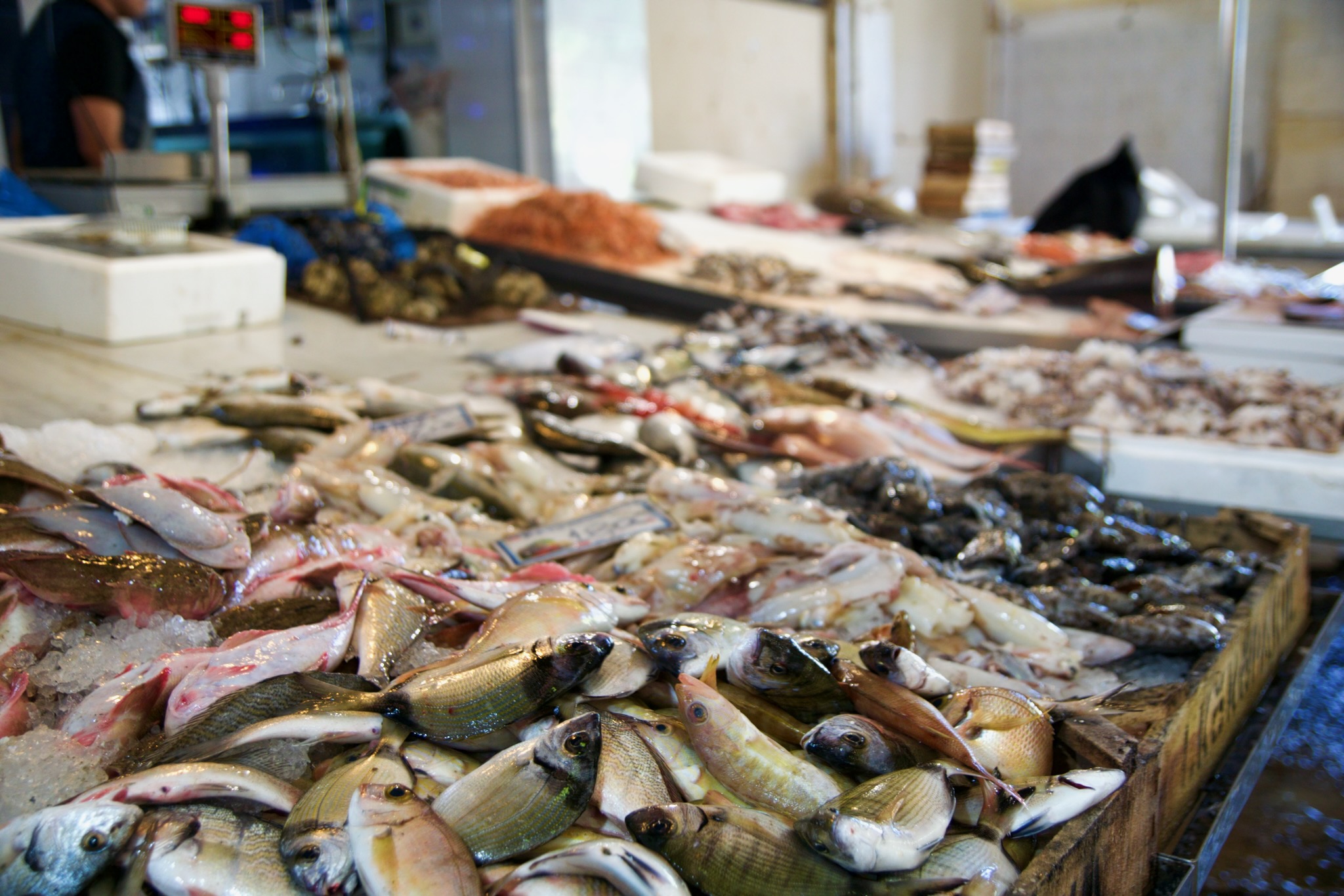 Frischer Fisch in der Markthalle von Chania