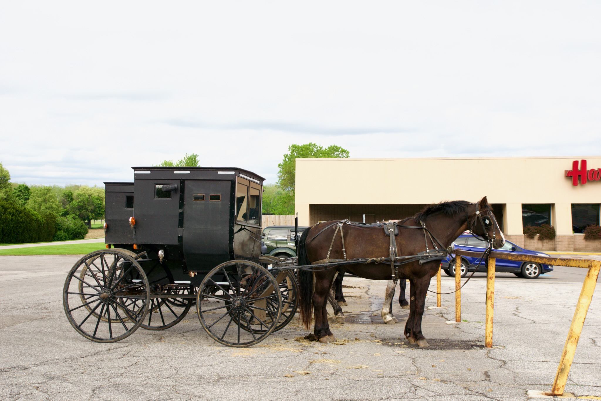 Schwarze Kutschen im Amish County