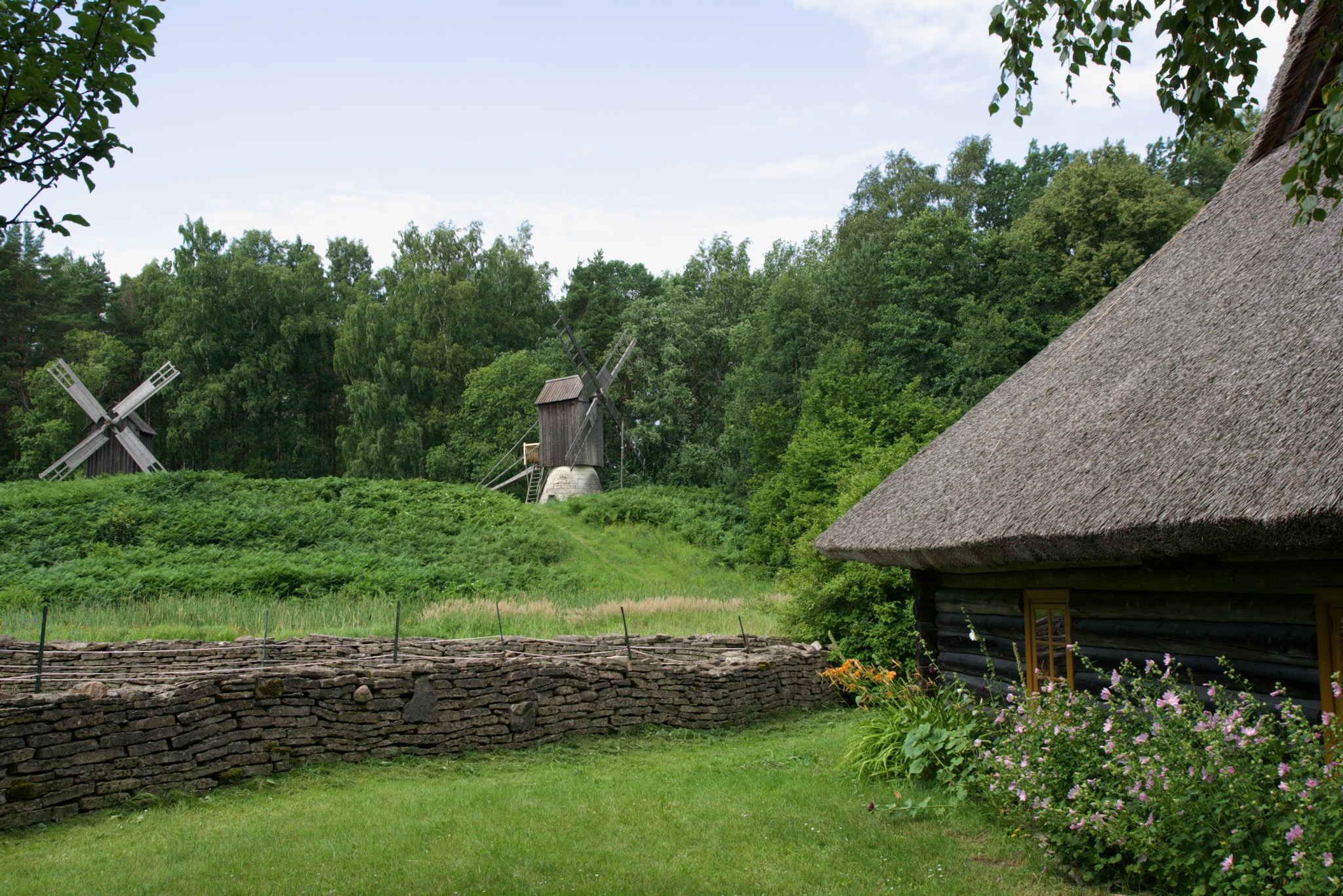 Estland entdecken